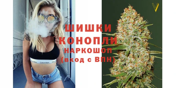 прущие грибы Алексин