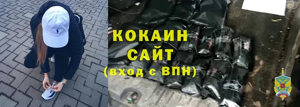 крисы Абаза