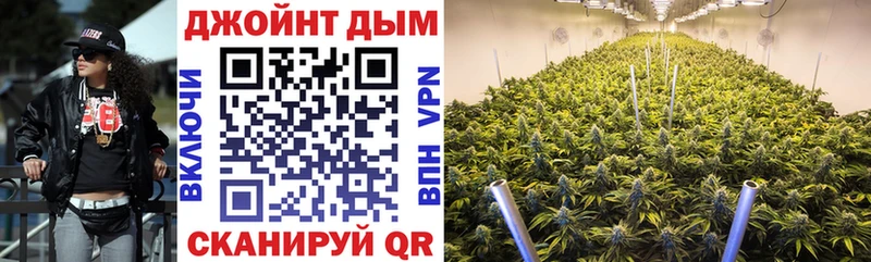 цены наркотик  Сатка  mega как войти  Шишки марихуана сатива 